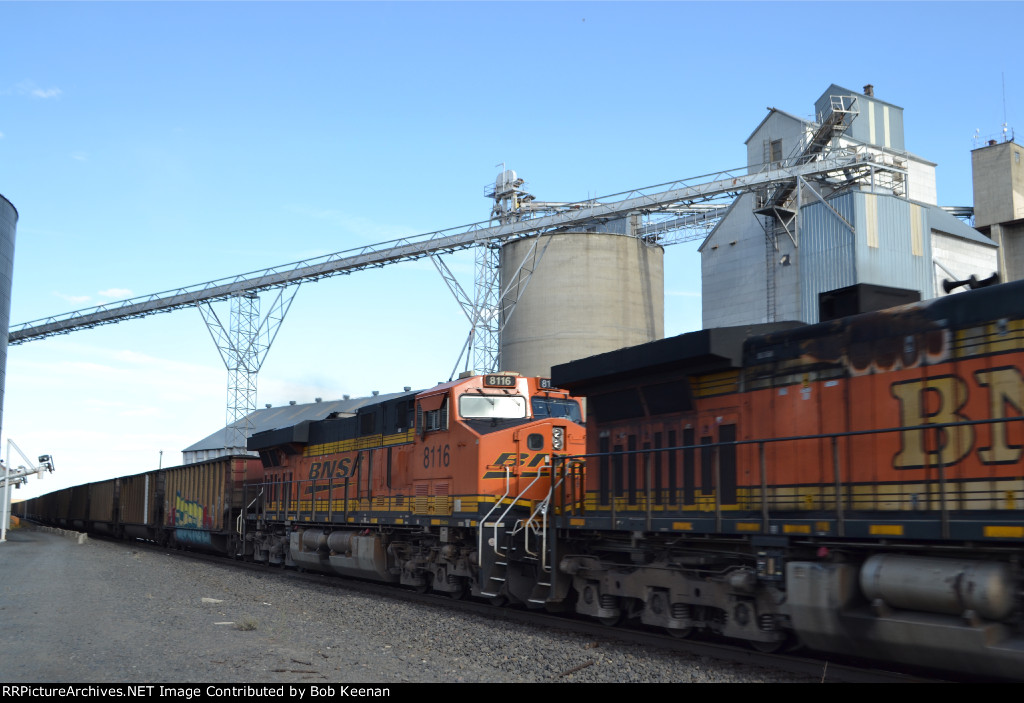 BNSF 8116